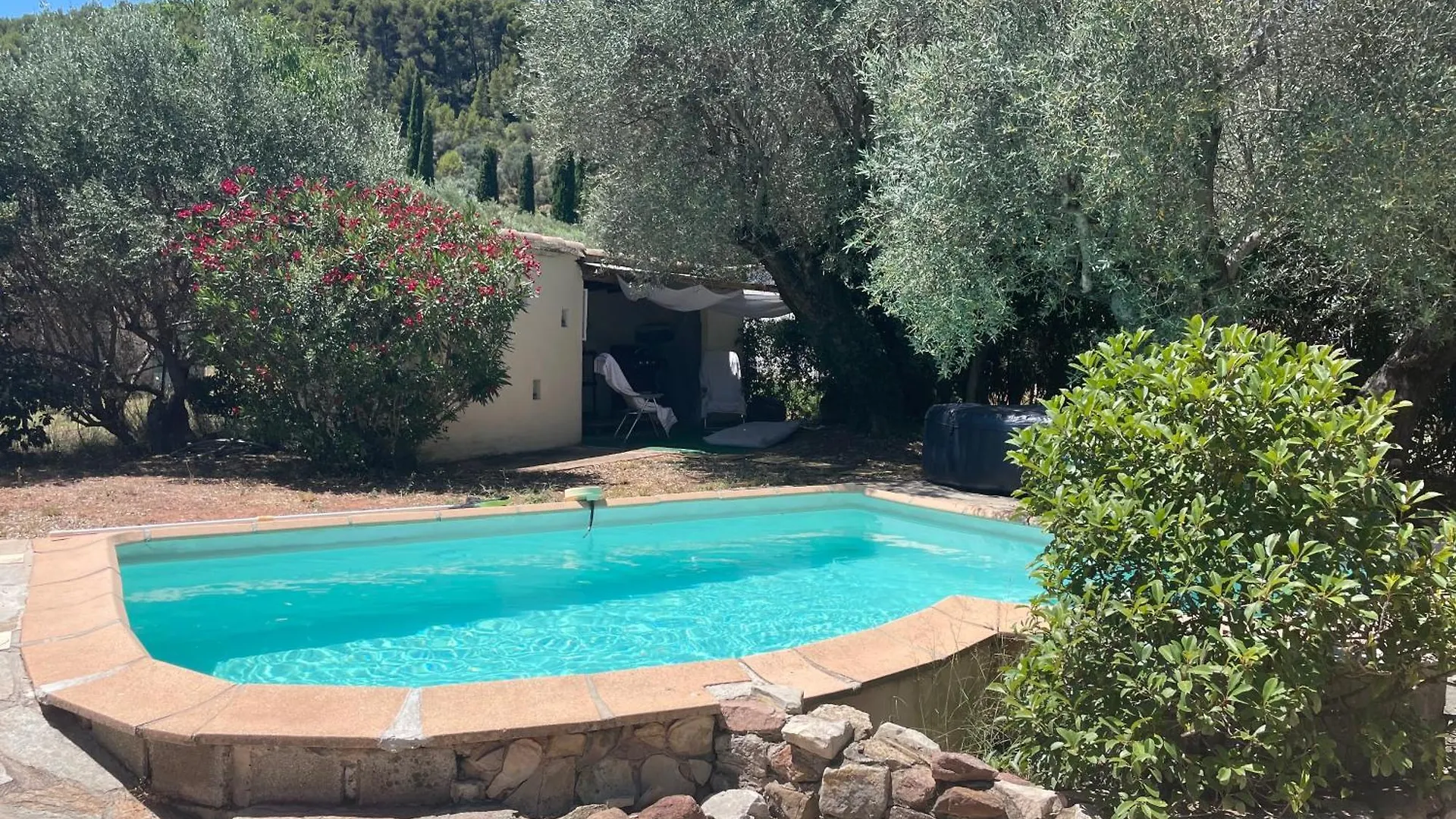 Provencale Villa With Pool And Hot Tub In Var Sollies Pont 0*,